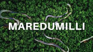 Maredumilli – Bhadrachalam – Papikondalu (Without Transport)